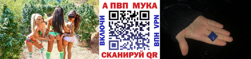 А ПВП СК  OMG ONION  Горняк  где продают наркотики 